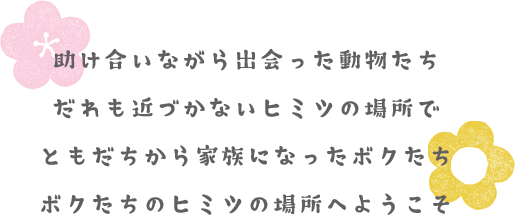 助け合いながら出会った動物たちだれも近づかないヒミツの場所でともだちから家族になったボクたちボクたちのヒミツの場所へようこそ